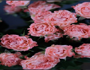 5fcfe3af163911eebaa918c04de0a483_5fcfe3b0163911eebaa918c04de0a483