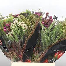 90f31ebe785c11edba9c18c04de0a483_90f31ebf785c11edba9c18c04de0a483