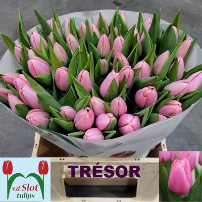 92fb19e3c89411edbaa218c04de0a483_92fb19e4c89411edbaa218c04de0a483