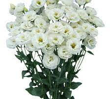 be90bc550bfa11eebaa918c04de0a483_be90bc560bfa11eebaa918c04de0a483