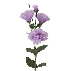 be90bc590bfa11eebaa918c04de0a483_be90bc5a0bfa11eebaa918c04de0a483