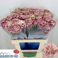 de6416ed76e711eebabe18c04de0a483_de6416ee76e711eebabe18c04de0a483