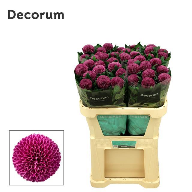 df670c21cec011edbaa218c04de0a483_df670c22cec011edbaa218c04de0a483