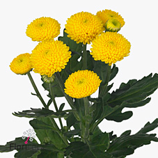 35cc0090c29911ecba9318c04de0a483_e4ae2ab1c2e611ecba9318c04de0a483