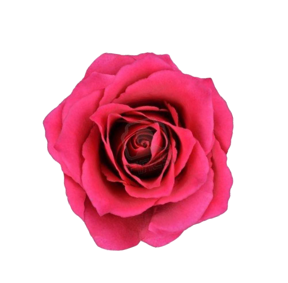 6e084d936ea011ecba9318c04de0a483_2f9aa143c78111ecba9318c04de0a483