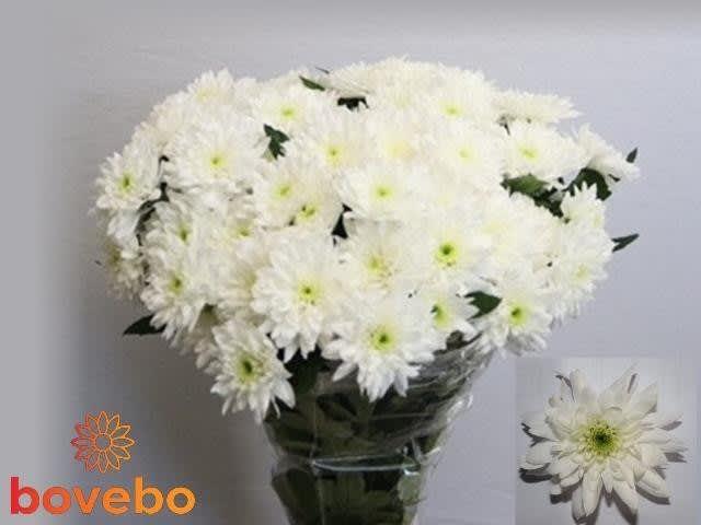 9dba839984bc11ecba9318c04de0a483_9dba839a84bc11ecba9318c04de0a483