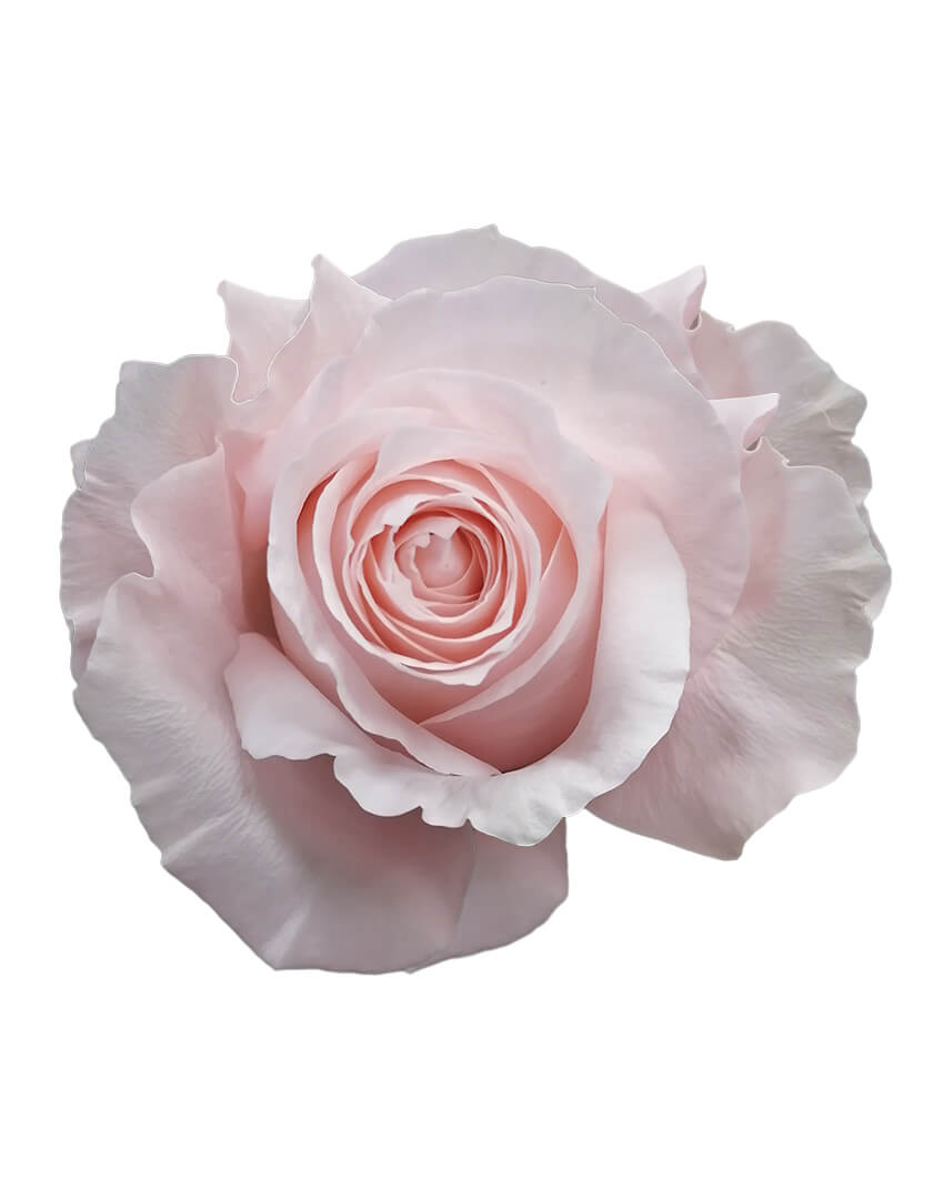 a8ddd6b9c1f311ecba9318c04de0a483_41fde0728ed811edba9f18c04de0a483