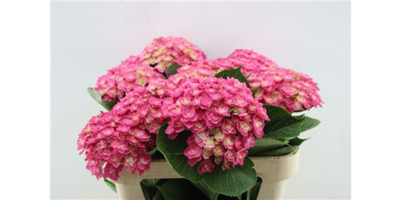 dd2add8a58ad11f1bafa18c04de0a483_dd2add8b58ad11f1bafa18c04de0a483