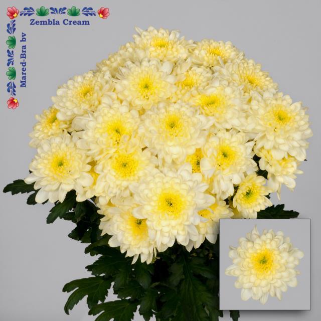 e5a26bfb1f3f11ecba9118c04de0a483_e6c47c5121ef11edba9618c04de0a483